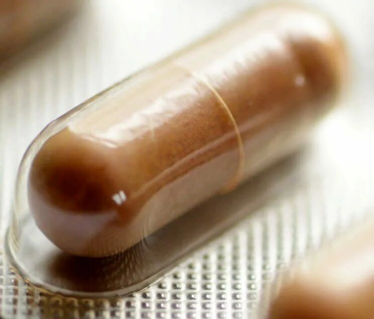 Chocolate is extracted from the