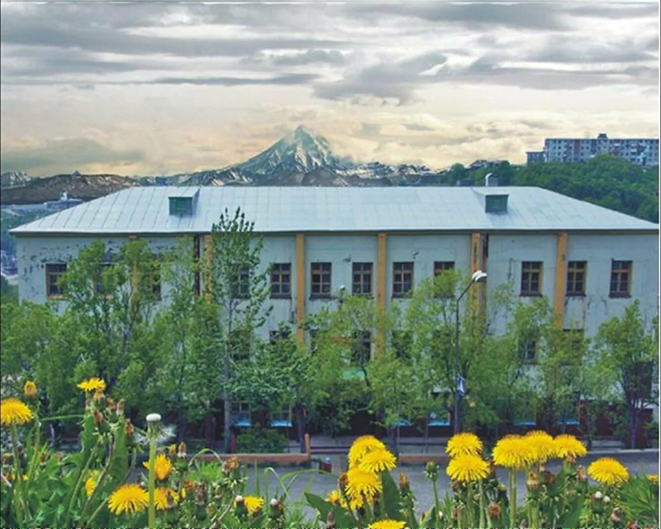 Сайт школ петропавловска камчатского. Школа 12 петропавловск-камчатский. школа номер 12 петропавловск камчатский. 10 школа петропавловск камчатский. школа 1 петропавловск-камчатский.