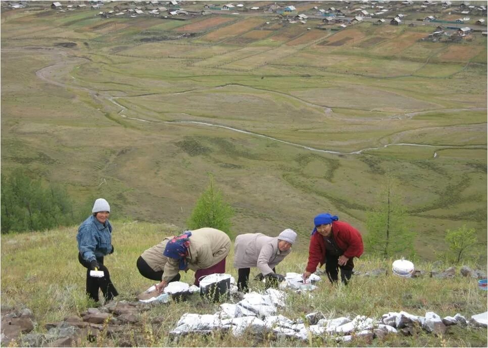 Нижний торей джидинский район. Верхне торейская сош джидинский район. Верхний торей джидинский район. Верхний торей. Нижне-торейская школа.