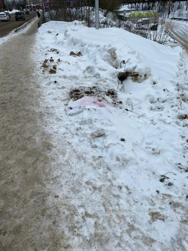 ноги из сугроба. очень много снега. ноги из сугроба. торчащий снег. сугроб.