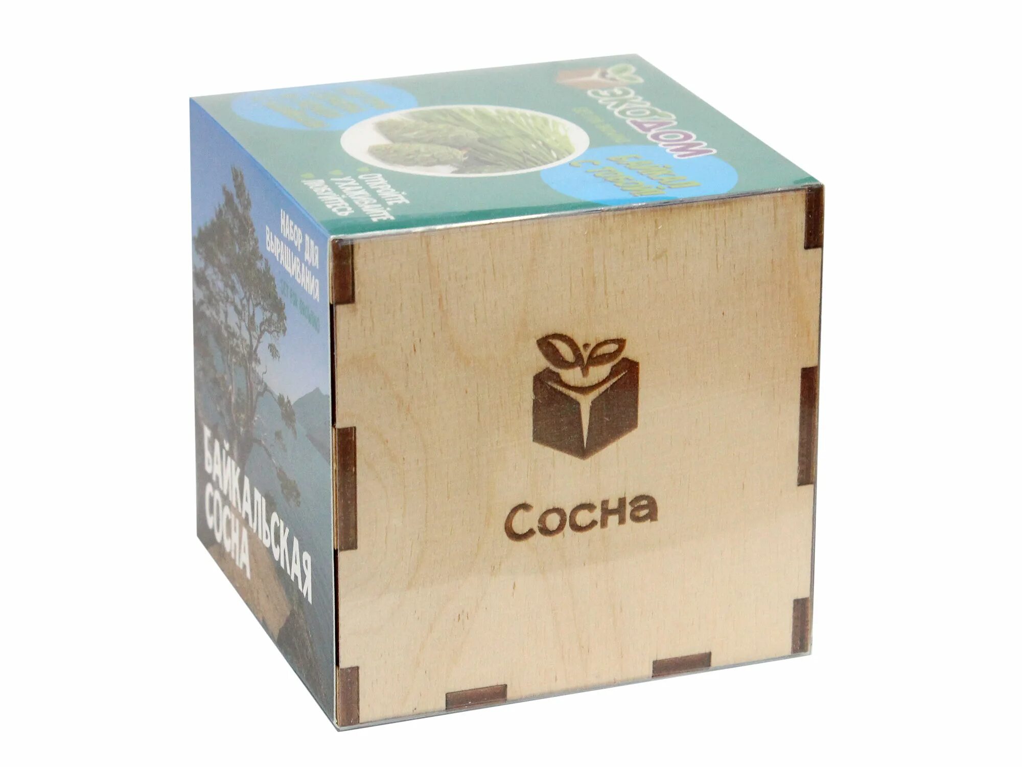 Набор кедр. Набор для выращивания "кедр". Экодом набор для выращивания. Эфирное масло фаберлик арома. Набор вырасти дерево.