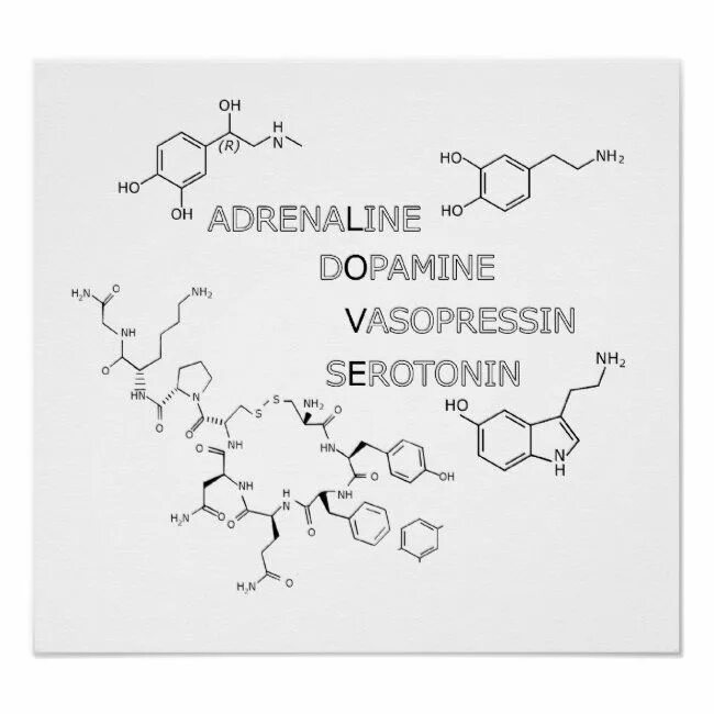 Дофамин гормон счастья. Дофамин окситоцин. Дофамин серотонин окситоцин. Гормоны счастья эндорфин серотонин дофамин окситоцин. Нейромедиаторы инфографика.