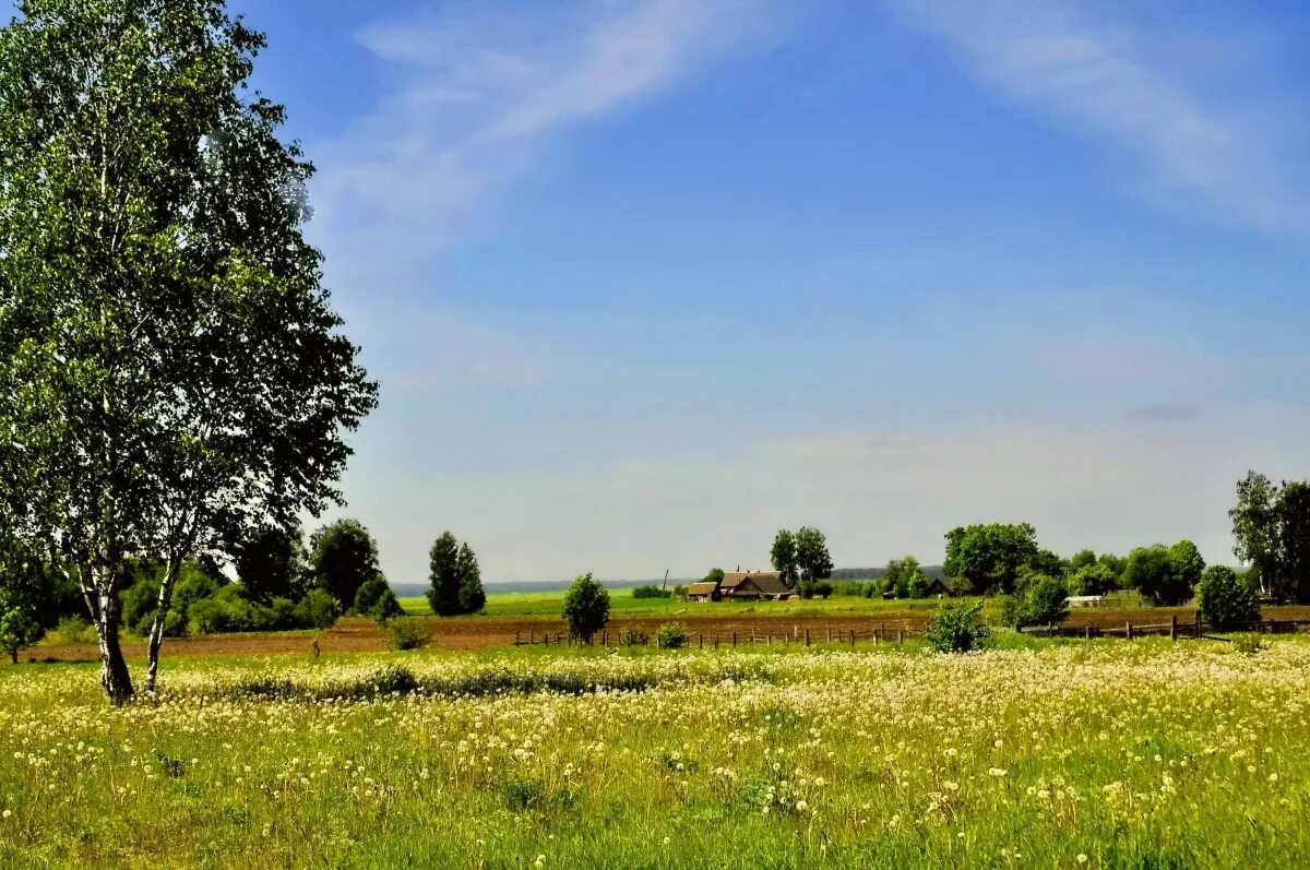 Майский фото. Май в деревне. Полдень. Деревня в мае. Природа полдень.