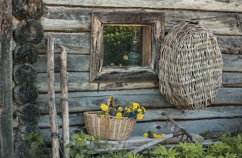 Гена спрятался за старой баней