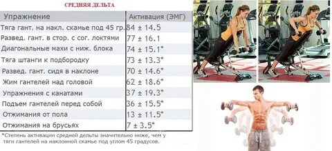 Средняя дельта