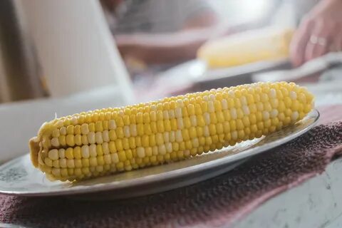 Можно крысам вареную кукурузу