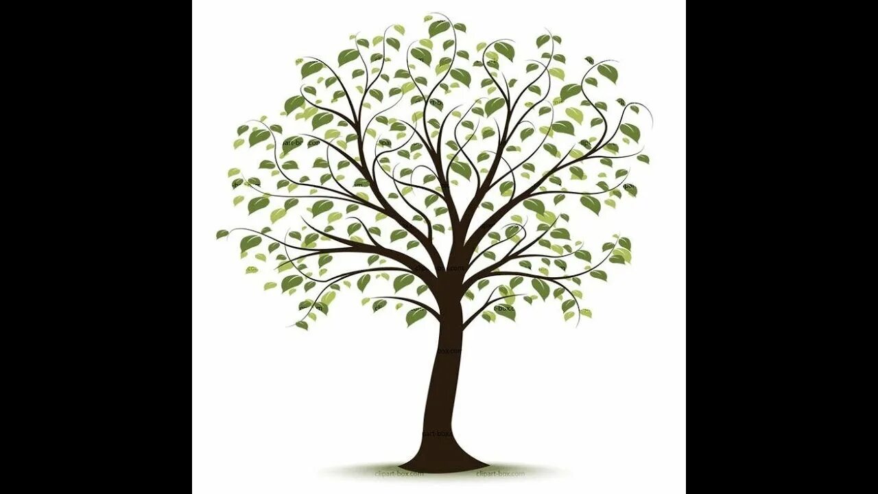 Baum und