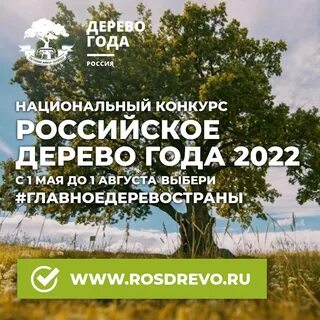 Выбирай рос