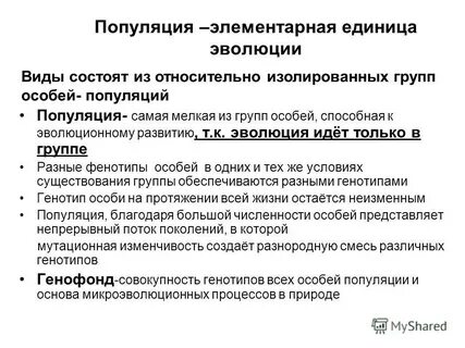 Наименьшая эволюционная единица