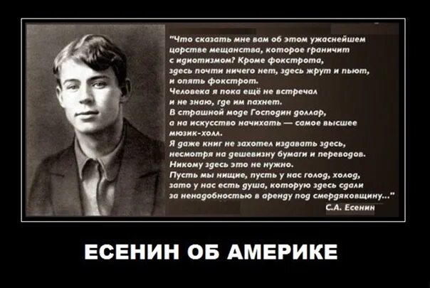 Есенин стихи пей со мной паршивая. Есенин стихи пей со мной паршивая. Есенин стихи пей со мной паршивая. Стихи сергея есенина. Есенин стихи пей со мной паршивая.