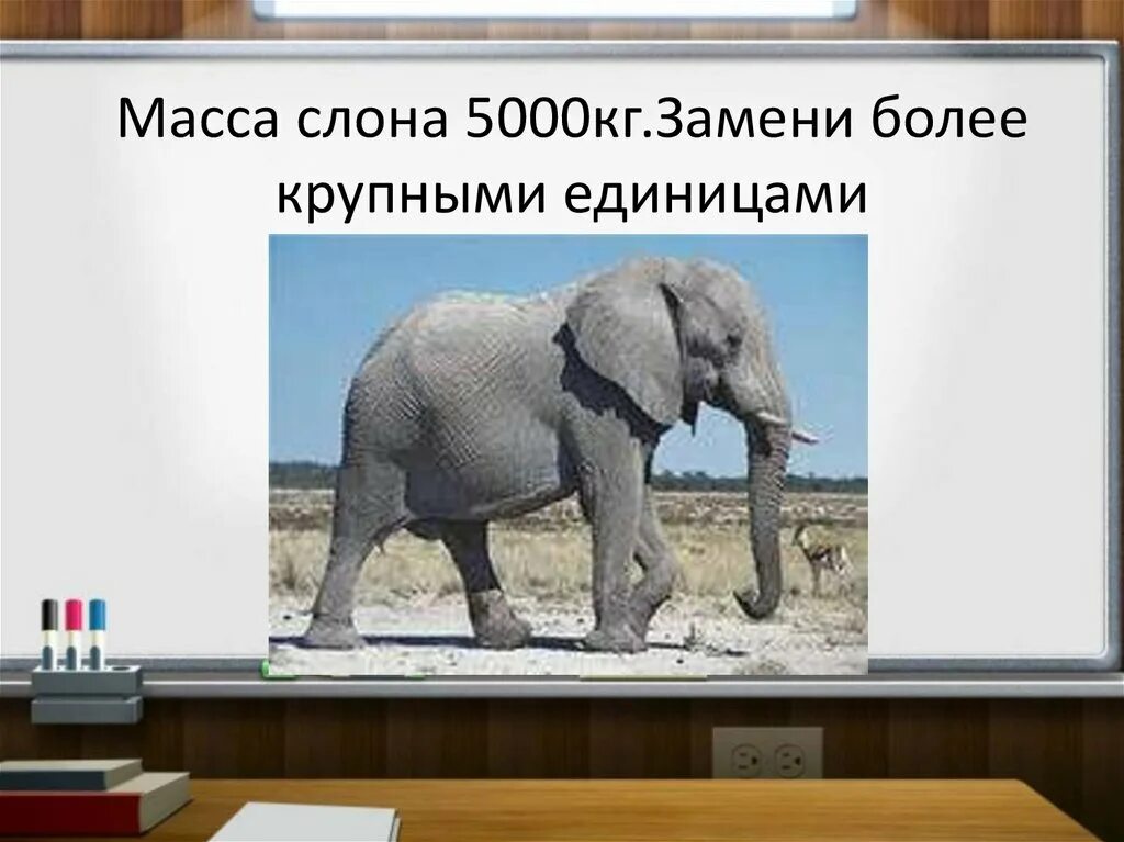 Вес слоненка. Масса слона. Масса одного слона. Вес слонов.