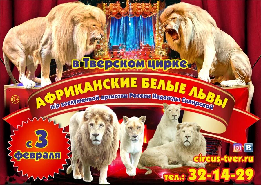 Афиша цирка. Цирк гии эрадзе приключения принцессы тверь. Тверской цирк. Цирк тверь афиша. Цирк гия эрадзе афиша.