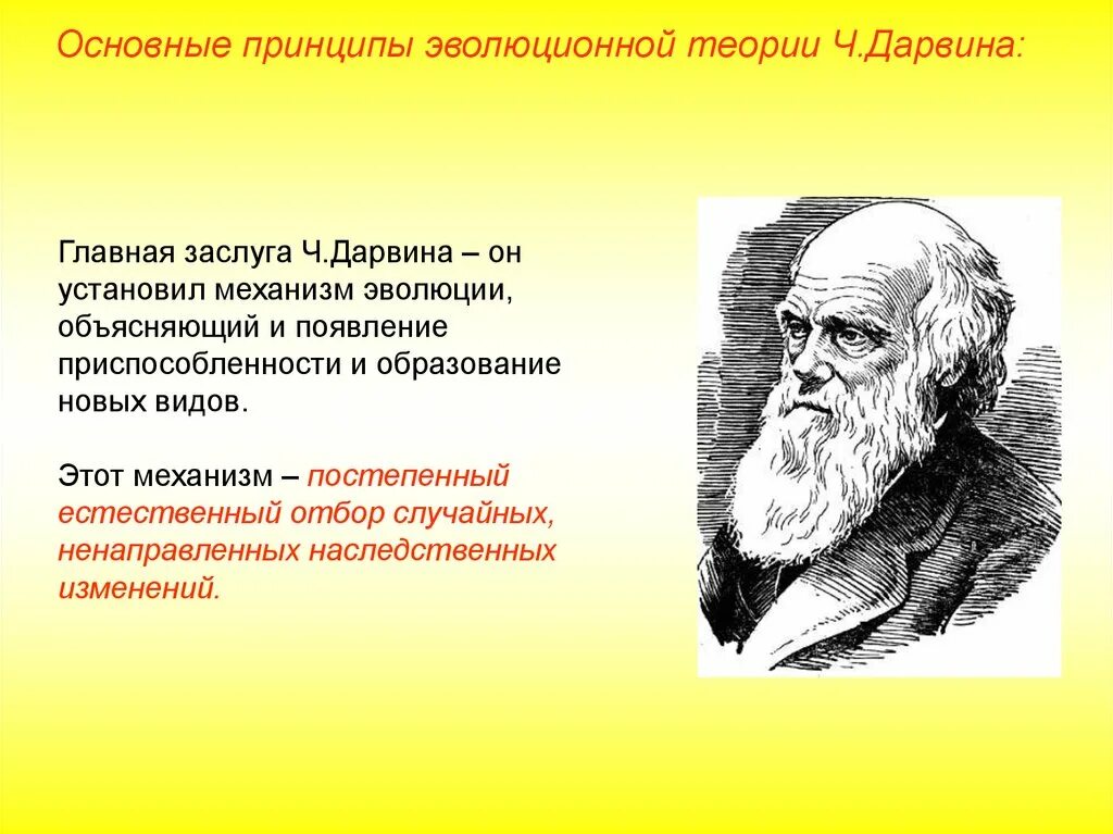 Суть гипотезы эволюции. Идеи Чарльза Дарвина об эволюции. Становление эволюционной теории Чарльза Дарвина. Ч Дарвин основные идеи.