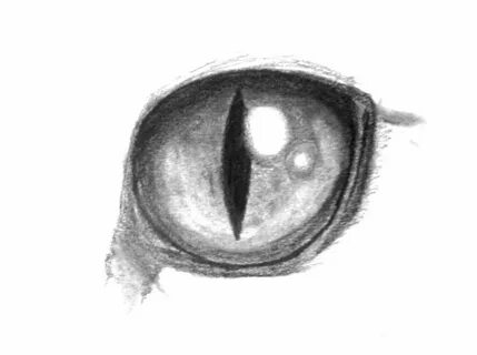 Кошачий глаз рисунок