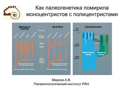 Палеогенетика
