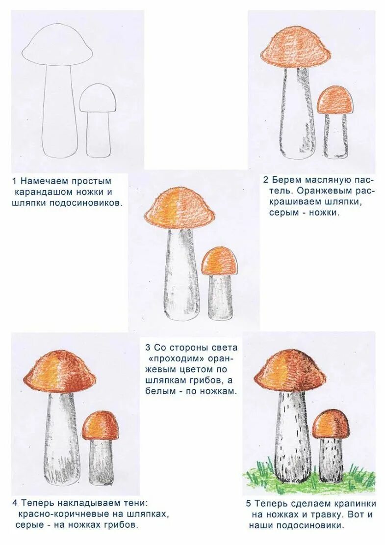 Грибы поэтапно. Подосиновик 2 гриба. Рисунок подберезовика и подосиновика. Рисуем грибы пошагово для детей. Схема гриба подосиновика.