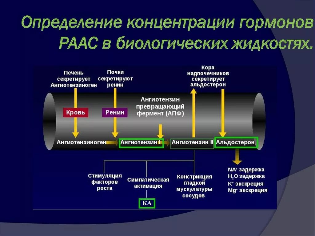 Результаты измерения концентраций. Определение содержания гормонов. Гормоны определяющие в крови. Гормоны в крови определяются методом. Гормональная концентрация.