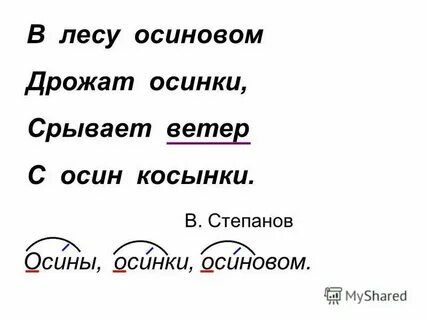 Осина разбор слова 1 класс