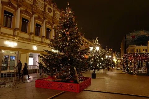 Елки на кузнецком мосту