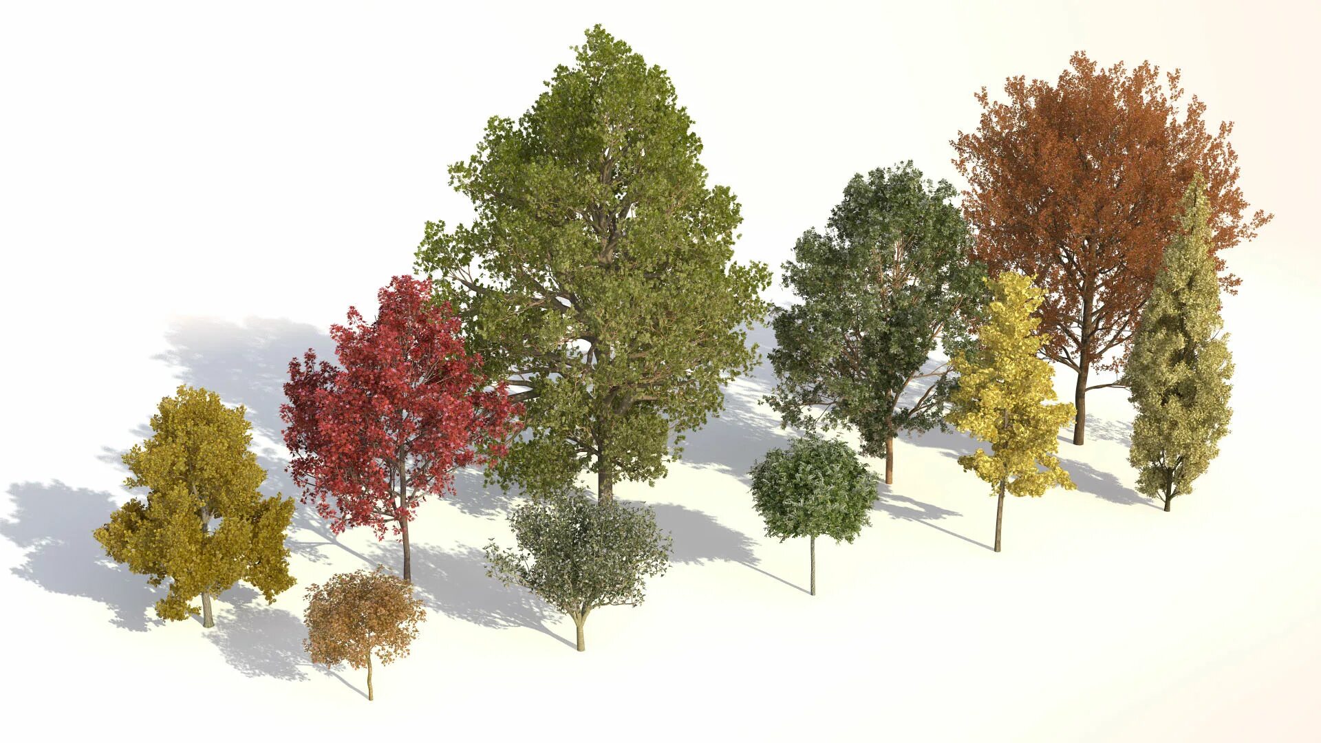 Tree visualization