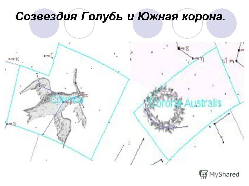 Созвездие голубь. Факт звезда созвездия голубь. Созвездие голубь миф. Координаты созвездия голубь.