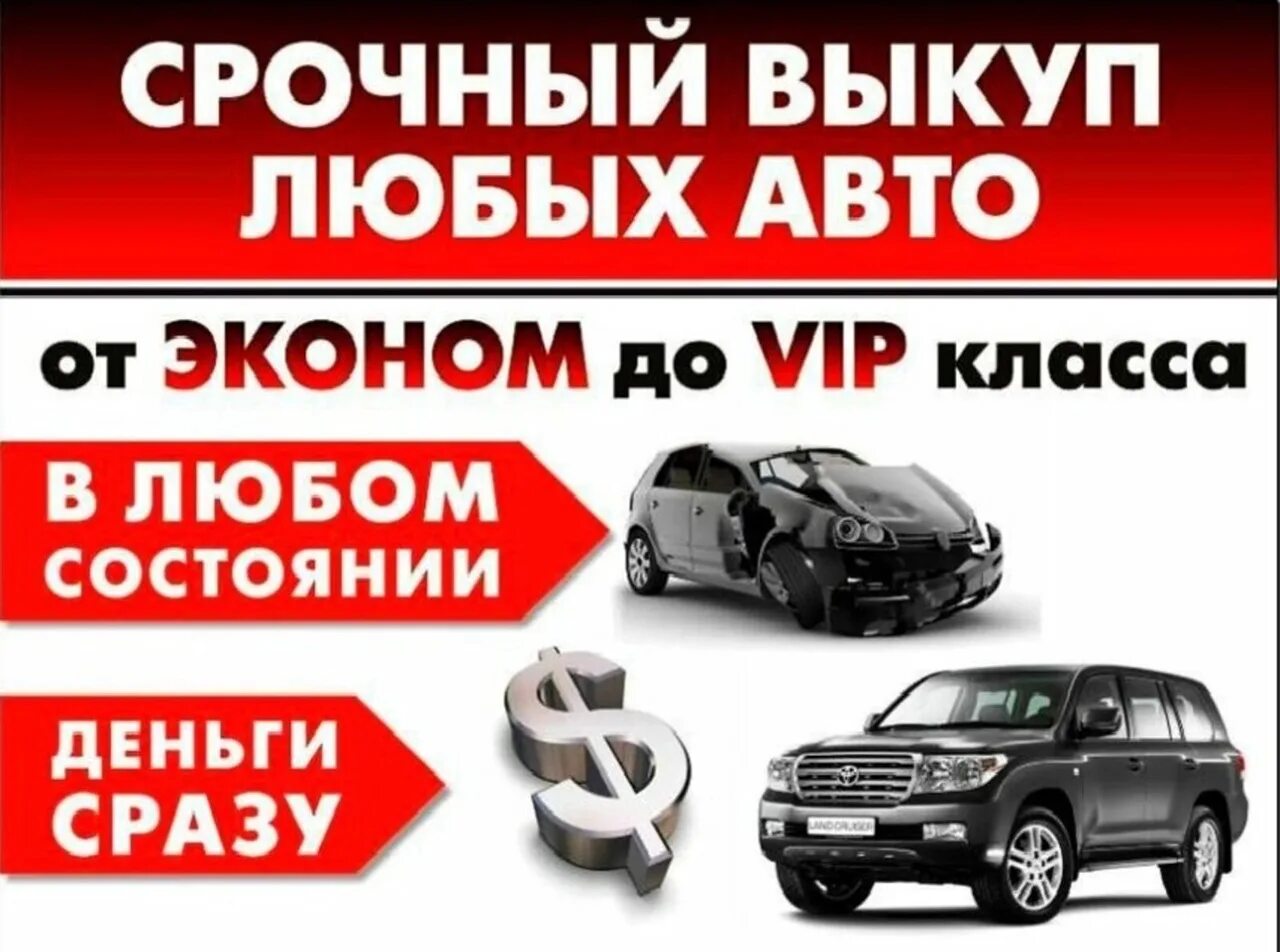 Автовыкуп выкуп. Выкуп авто. Срочный выкуп автомобилей. Выкуп любых авто. Срочный выкуп машин.