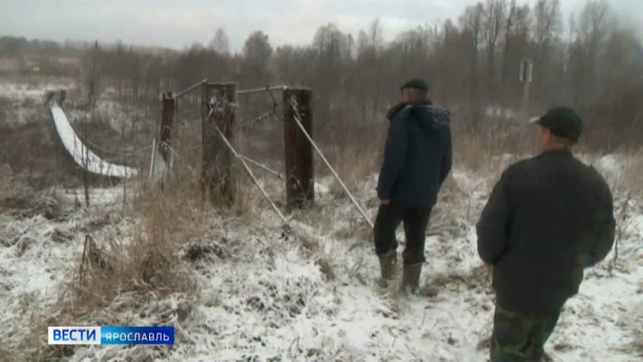 Вести 16.04 2024. Россия-1. Ярославль. Вести репортаж. Репортаж Россия 1. Вести в субботу 2022.