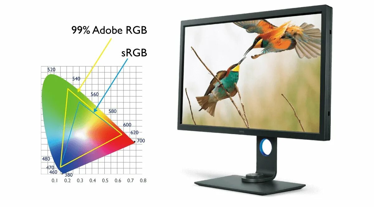 Монитор 10 бит. Мониторы с 10 битной матрицей. rgb монитор. srgb пиксели.