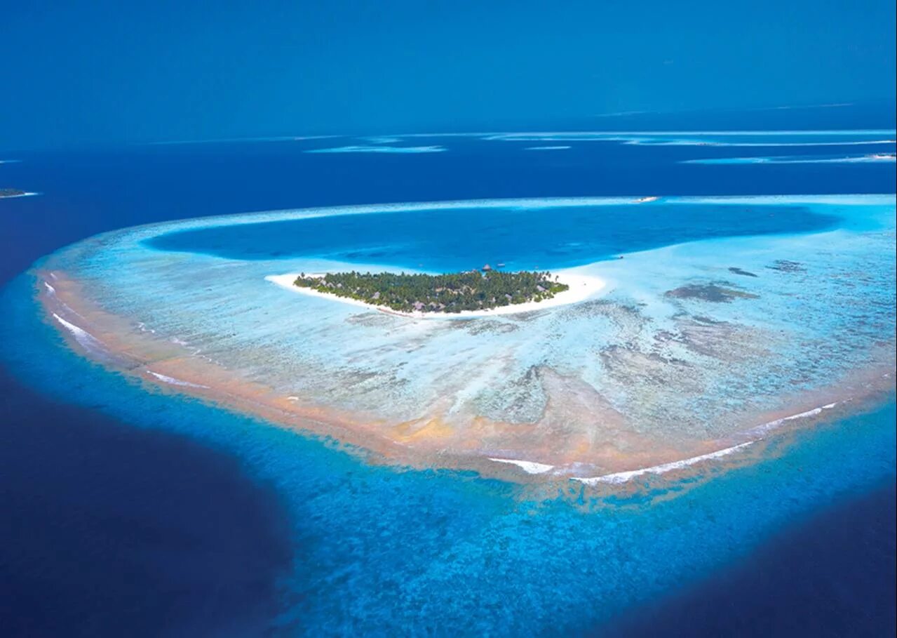 Атолл коралловый остров. Атолл Алифу-Даалу. Коралловые Атоллы Мальдивы. Атолл Рокас. Кольцевой остров