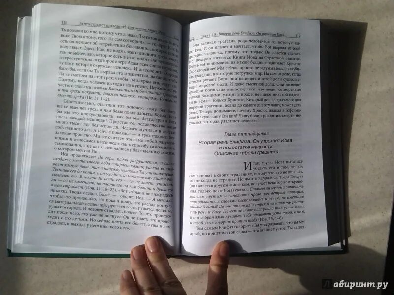 Иов толкование. Книга иова иллюстрации. Книга иова книга. Иов толкование. Книга иова.