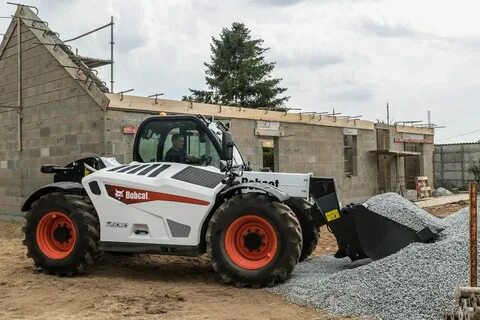 Bobcat tl
