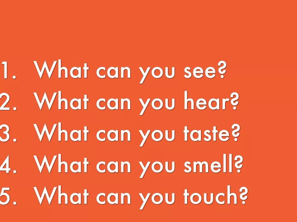 Modal verbs в английском. Have has do does правило. Have to грамматика. Have to грамматика. Модальные глаголы англ яз правило.