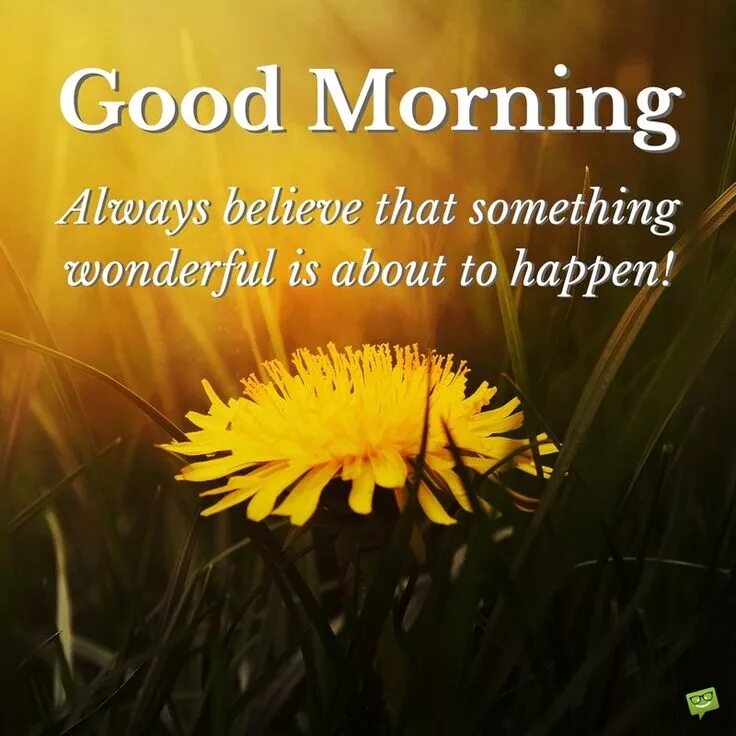 I always in the morning. Good morning Motivation. Good morning quotes. Quotes about morning.