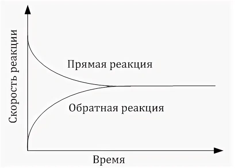 Прямая и Обратная реакция. Обратная реакция. Прямые и обратные реакции. Примеры прямой и обратной реакции. 1 прямые и обратные реакции