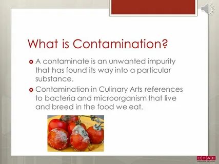Contamination перевод