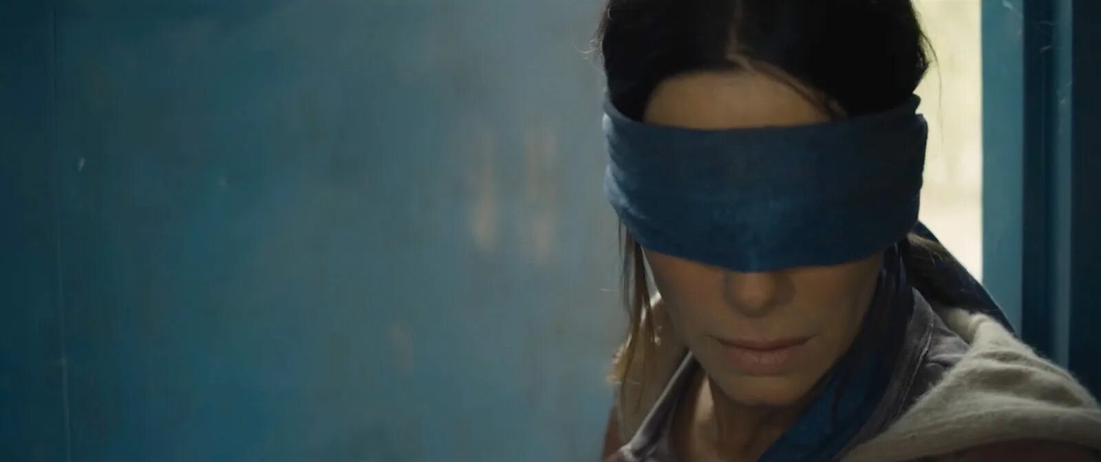 Сойка пересмешница птица. Птица коробов. Птичий короб bird box, 2018. Короб - птички (150). Тематические коробки птицы.
