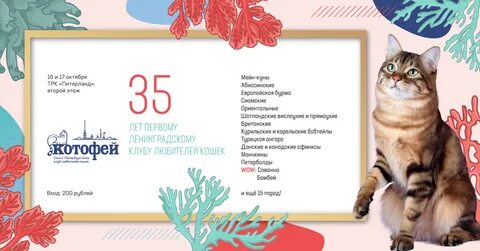 Расписание выставок кошек