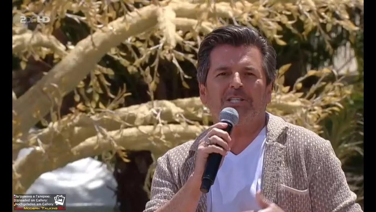 Сын томаса андерса сейчас. Thomas anders lunatic. Сын томаса андерса сейчас. Thomas anders концерт в латинской америке 1987. Thomas anders 2023.