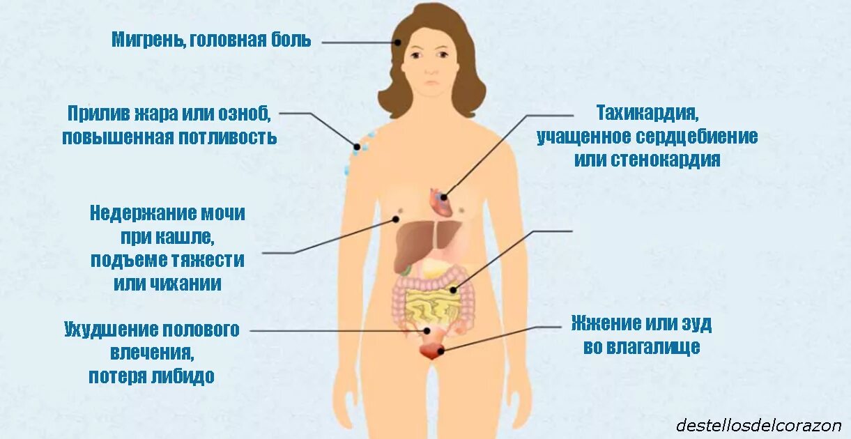 Боли в животе бросает в жар. Болит желудок и бросает в Жар. Бросает в пот причины. Тело бросает в Жар и слабость. Болит живот и бросает в пот.