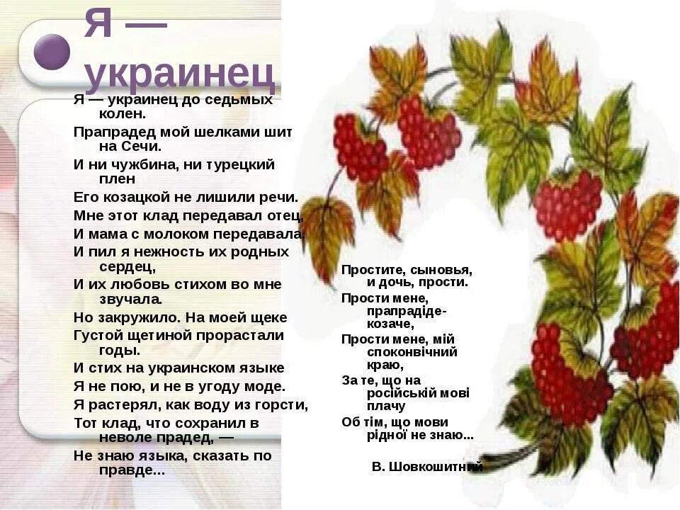 Стихи на украинском языке. Я украинец до седьмых колен прапрадед мой шелками шит на Сечи. Стих на укр яз про ридну землю. Я украинец. Стихотворение на украинском языке