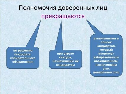 Что делают доверенные лица на выборах