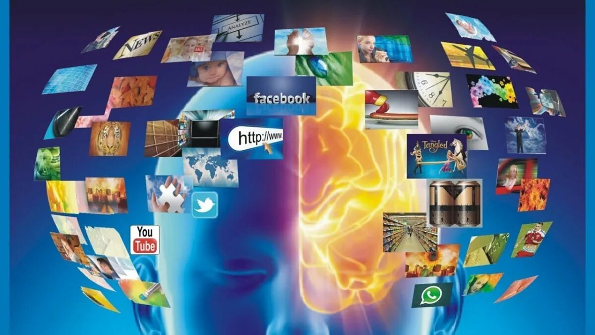 И порядок будет в информационной. Основные положения фз о информации. Порядок функционирования единой системы выявления. Правила выдачи сертификатов. Модель системы принятия решений.