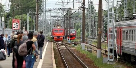 Электричка бернгардовка финляндский