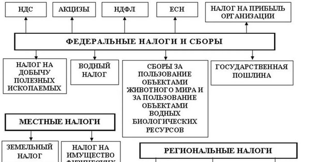 Перечислите налоги уплачиваемые предприятием. Виды налогов в РФ схема. Федеральные налоги и сборы схема. Система налогов и сборов в РФ схема. Налоги уплачиваемые предприятиями схема.