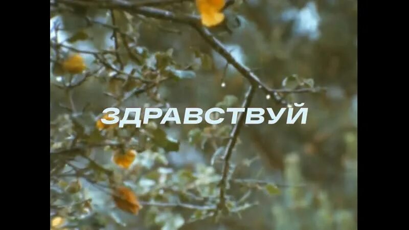Перемотка здравствуй. Обложки здравствуй. перемотка здравствуй обложка. перемотка группа. перемотка здравствуй я тебя так долго ждал.