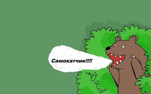 Выключи медведь