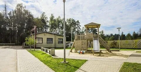 Балашиха купавна