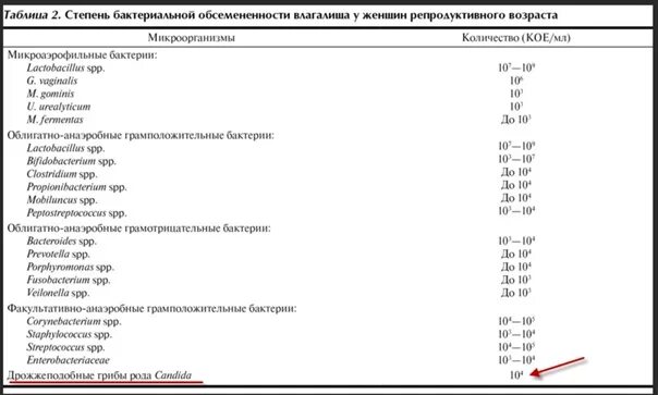 Lactobacillus SP. 10^6 Кое/мл. Снижение степени бактериальной обсеменённости что это. Corynebacterium SPP норма у мужчин. Лактобактерии в мазке норма.