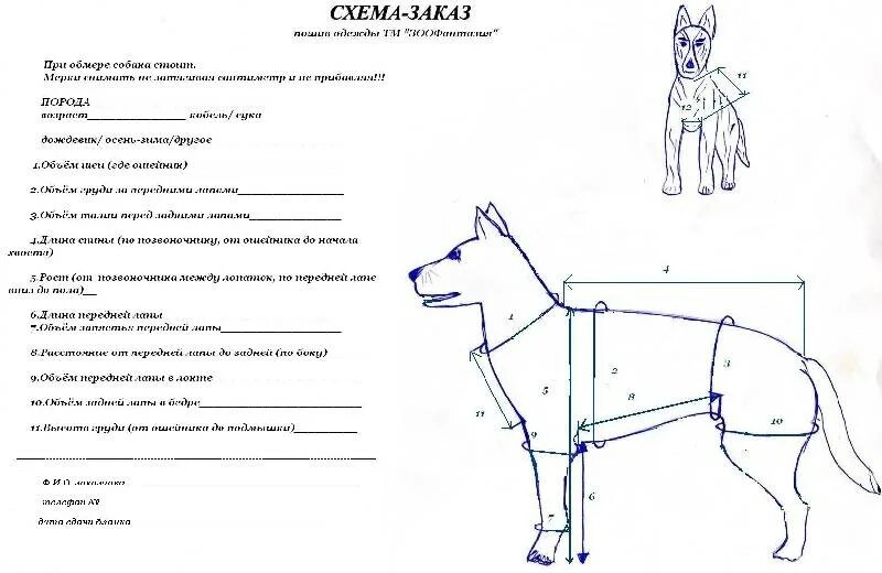 Выкройка комбинезона для добермана кобель. Выкройка комбинезона для немецкой овчарки девочки. Комбинезон для овчарки выкройка. Выкройка дождевика для крупной собаки. Собак своими руками рецепт