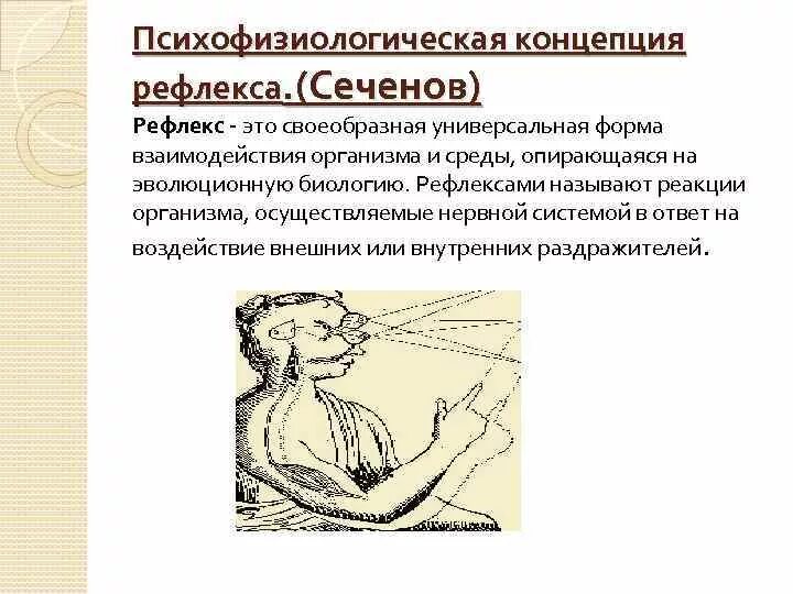 Концепции рефлекса. Теория рефлексов. Психофизиологические концепции. Сеченов рефлекторная теория. Рефлексом называют реакцию